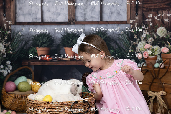 012_Bunny24_Rosskopf