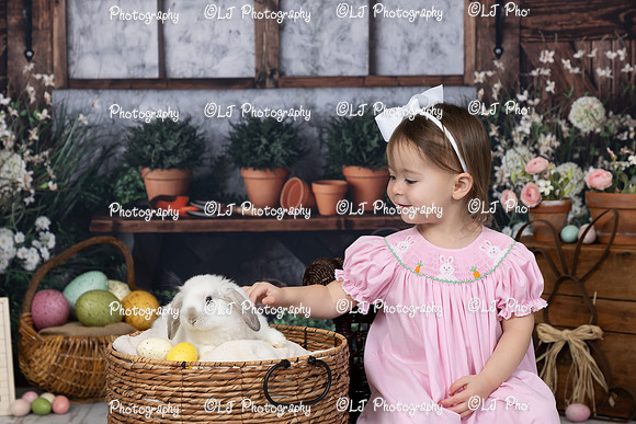 014_Bunny24_Rosskopf